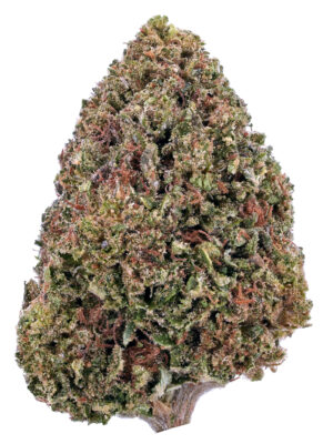 Bubba Cookies Strain