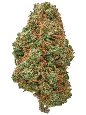 Crème Brûlée Strain
