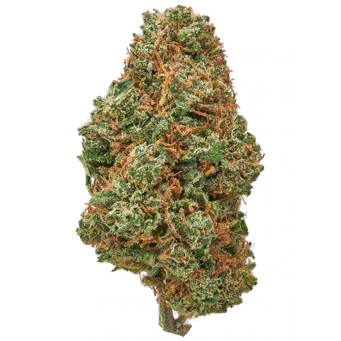 Crème Brûlée Strain