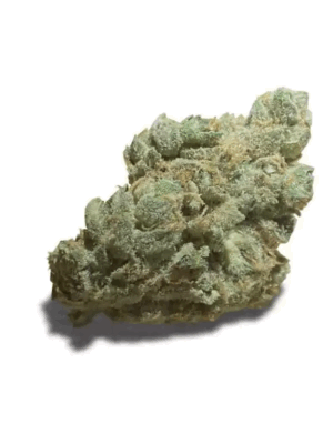 Crescendo Strain