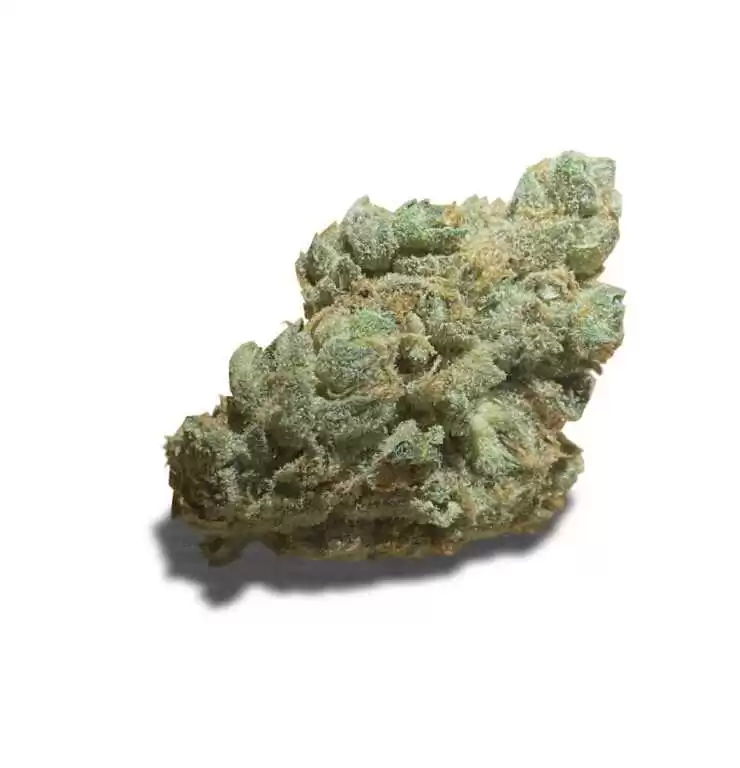 Crescendo Strain