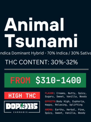 Animal Tsunami