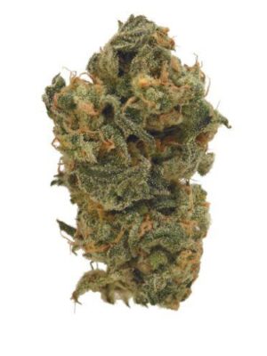Big buddha cheese